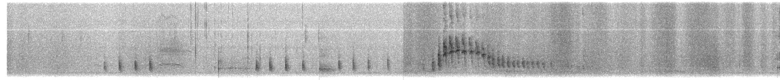 Mirlo Común - ML652087735