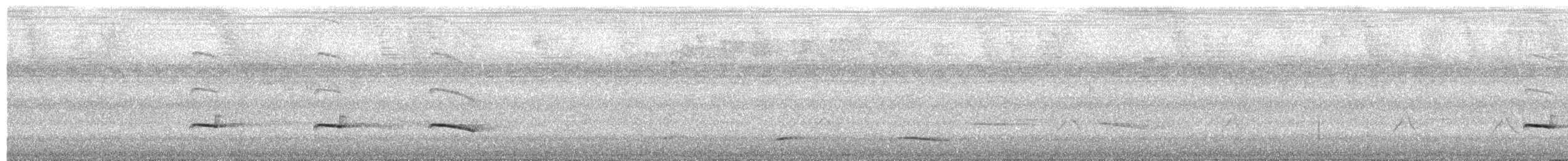 Chestnut-backed Antbird - ML652098074