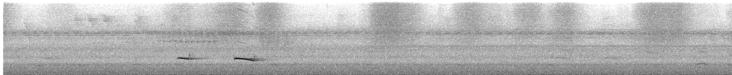 Chestnut-backed Antbird - ML652098075