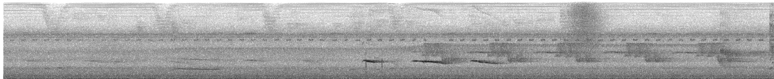 Collared Trogon - ML652098132