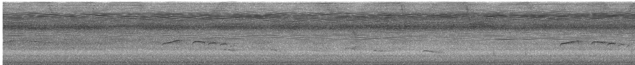 Brown-capped Tyrannulet - ML652098166