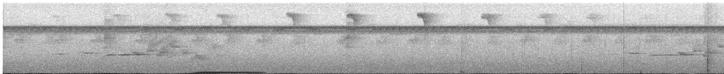 Long-wattled Umbrellabird - ML652099598