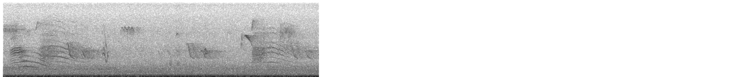 ネコマネドリ - ML652099700