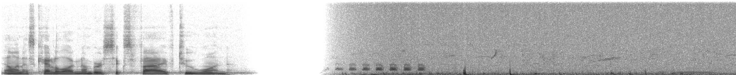 Coppery-tailed Trogon - ML6521