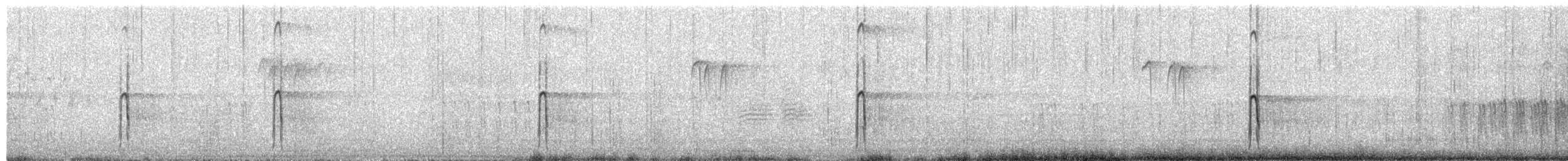 Hairy Woodpecker - ML652105236