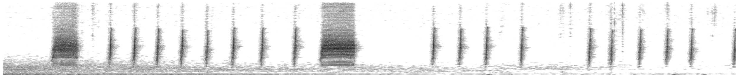 Bewick's Wren - ML652105313