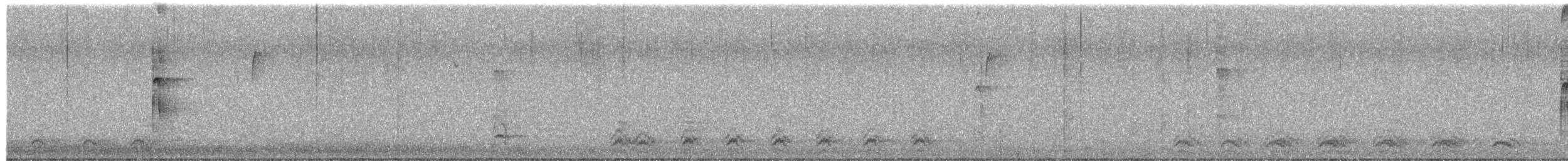 Hairy Woodpecker (Eastern) - ML652105571