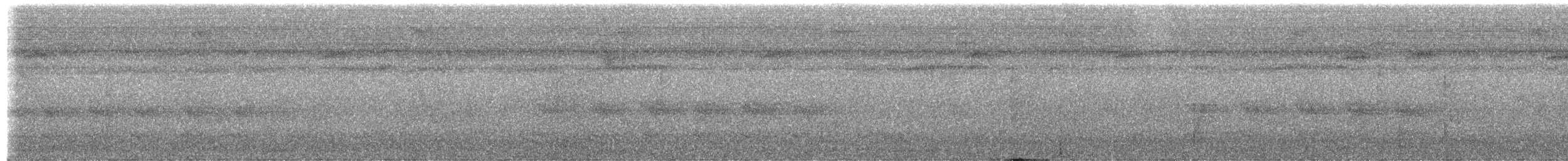 Western Woodhaunter - ML652106034