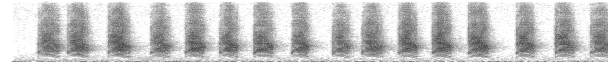 Steller's Jay - ML652107083