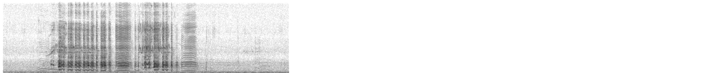 ジェンツーペンギン - ML652108680