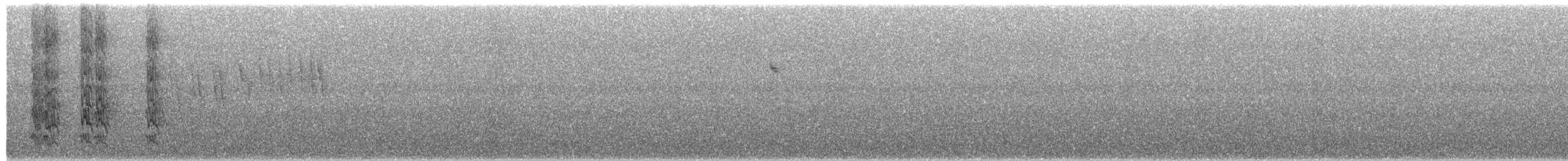 White-necked Parakeet - ML652112405