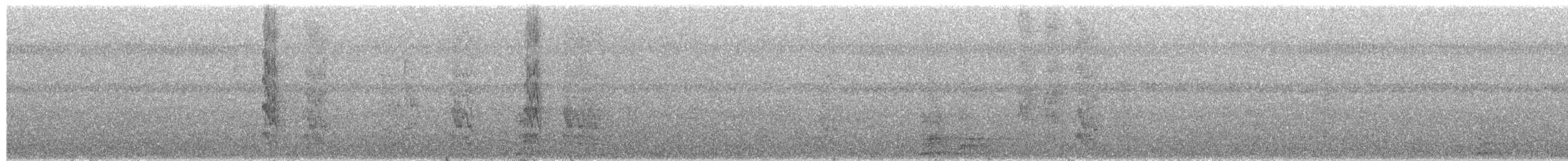 White-necked Parakeet - ML652112406