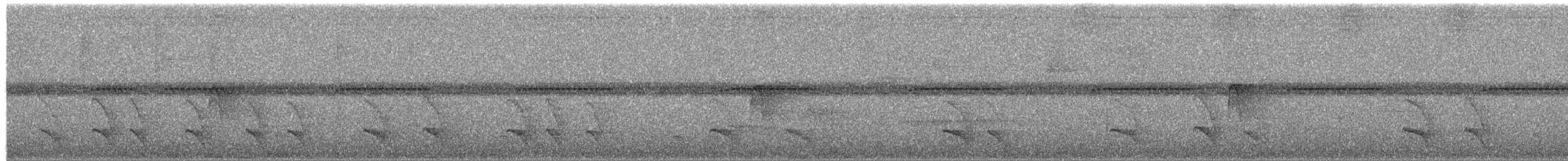 White-streaked Antvireo - ML652112475