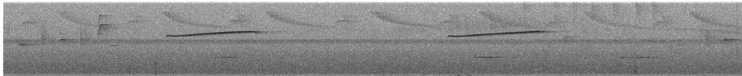 Black-streaked Puffbird - ML652115699