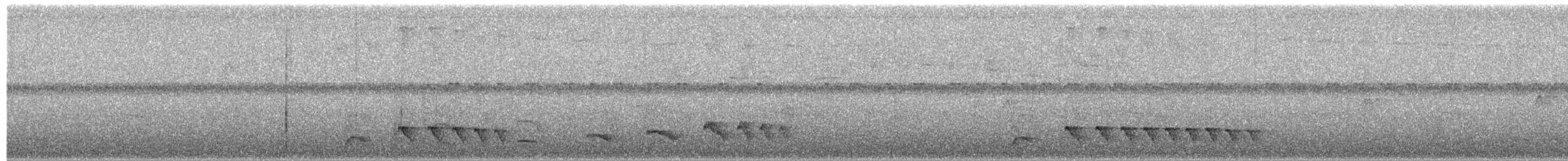 Black Antbird - ML652116034