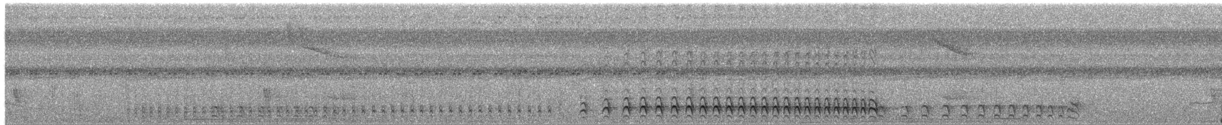 Lined Antshrike - ML652116047