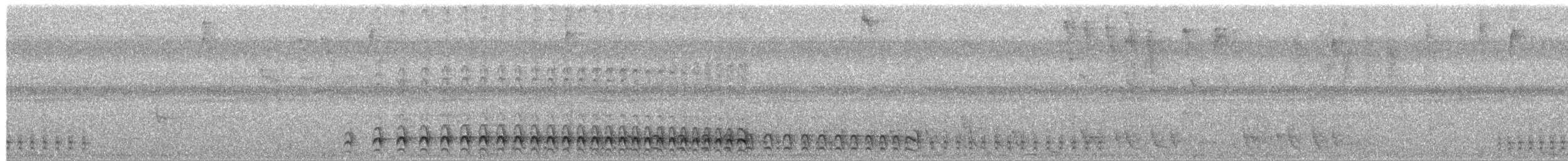 Lined Antshrike - ML652116048