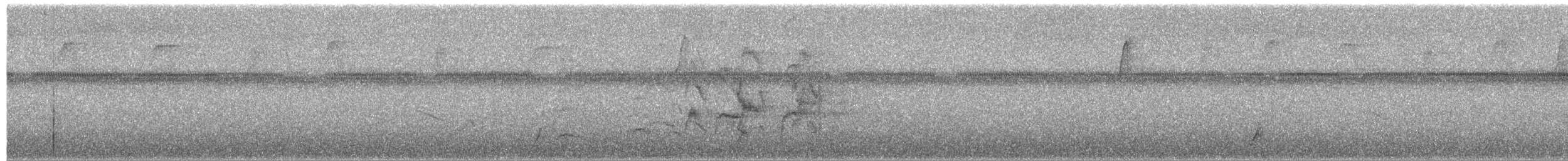 White-collared Swift - ML652116112