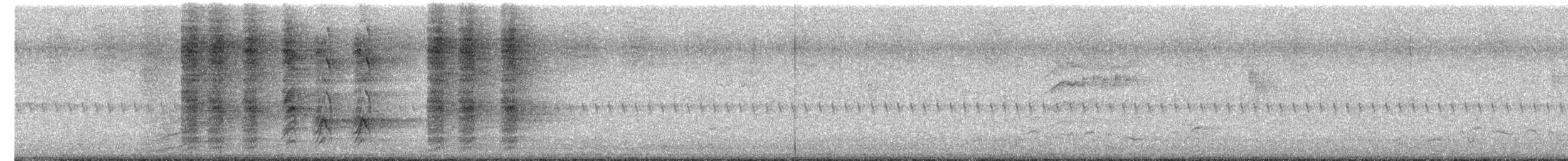 Spangled Drongo - ML652118621