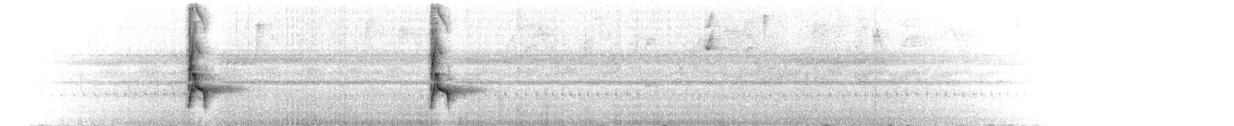 Bare-crowned Antbird - ML652118627