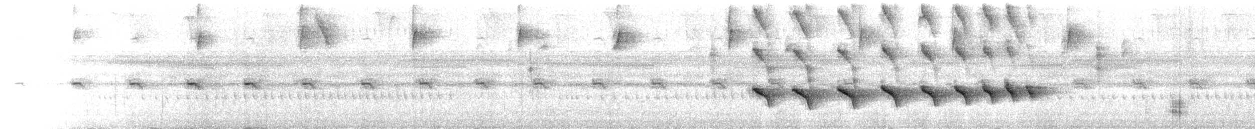 Bare-crowned Antbird - ML652118628