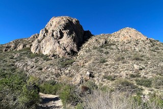 Chino Canyon, Santa Cruz, Arizona, United States - eBird Hotspot