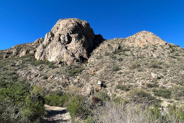 Chino Canyon, Santa Cruz, Arizona, United States - eBird Hotspot