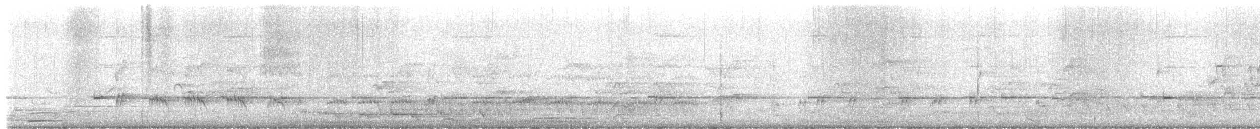 Eastern Whipbird - ML652122993