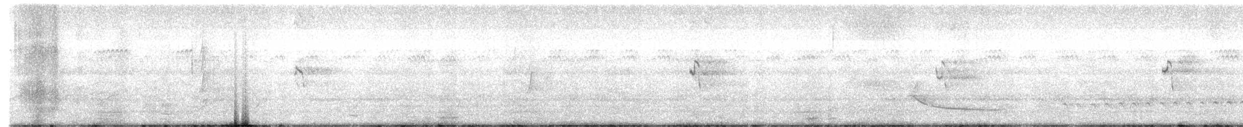 Buff-banded Rail - ML652126216