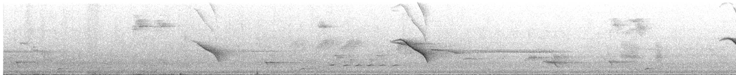 Purple-throated Cuckooshrike - ML652128402