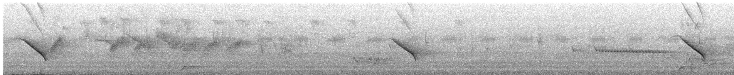 Purple-throated Cuckooshrike - ML652128580