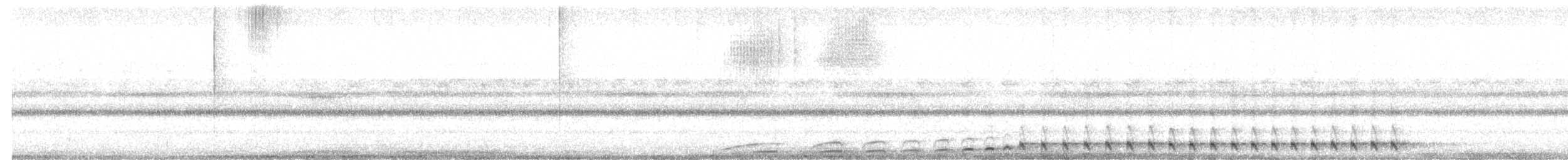 White-throated Nightjar - ML652129668