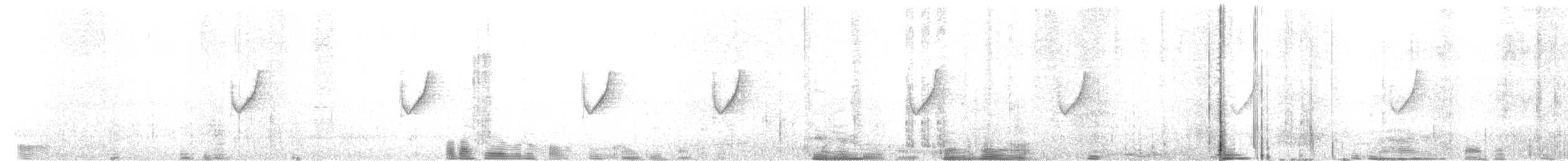 Ornate Sunbird (Cream-bellied) - ML652132035