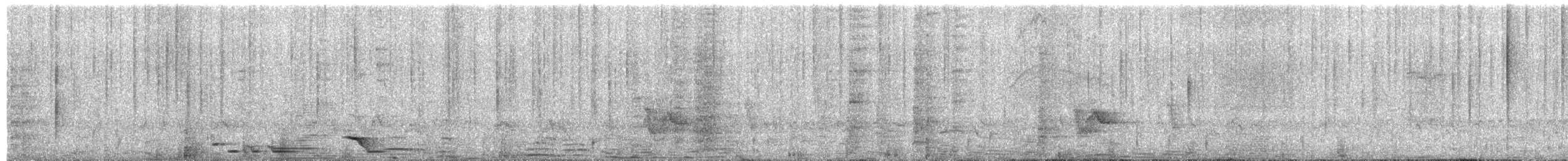 Tropical Boubou - ML652132110