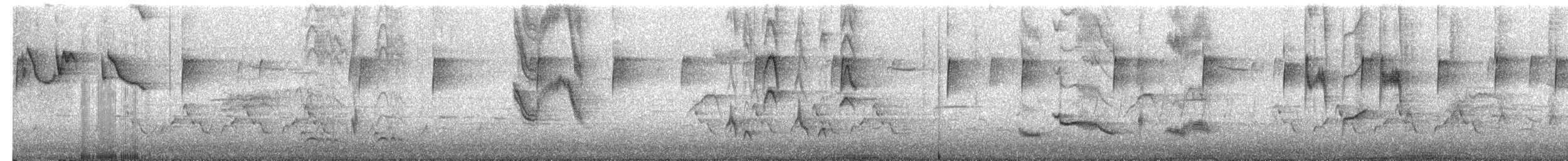 チャイロツグミモドキ - ML652135294