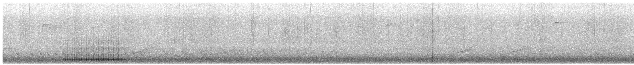 Hairy Woodpecker - ML652138502