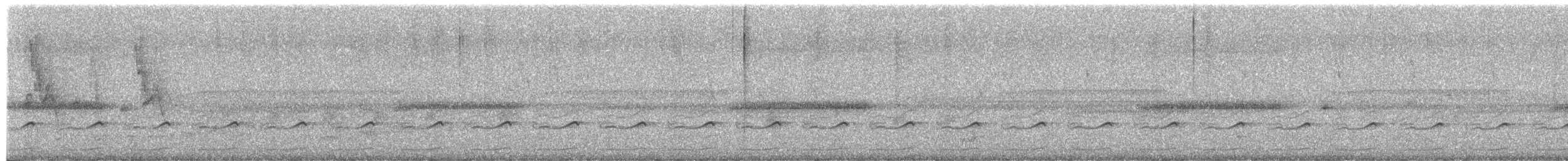 Râle à camail - ML652142328