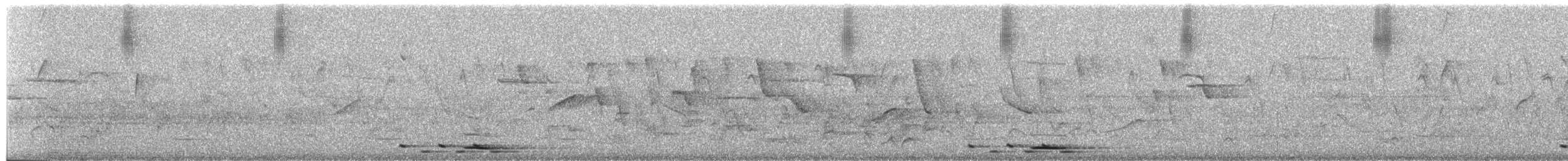 Grand Gonolek - ML652142336