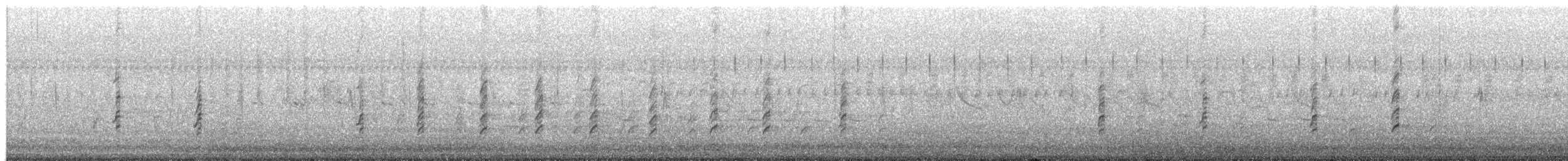 Black-winged Stilt - ML652144324