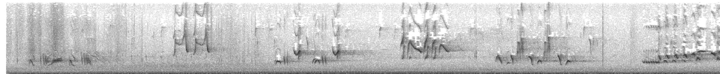 チャイロツグミモドキ - ML652145041