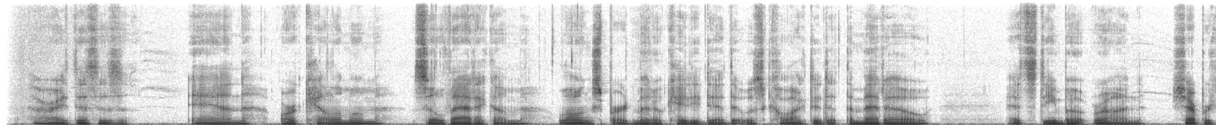 Long-spurred Meadow Katydid - ML652150430