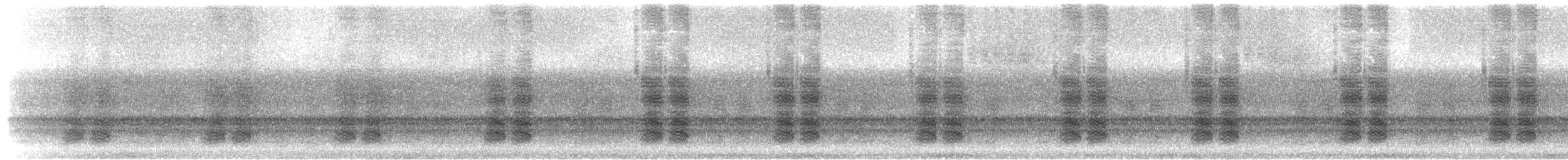 Common True Katydid - ML652152165