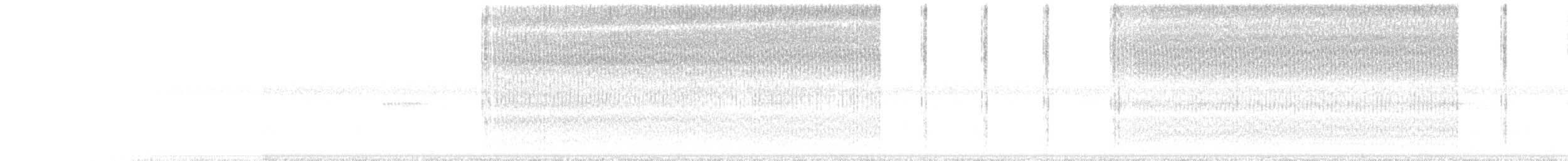 Short-winged Meadow Katydid - ML652153311