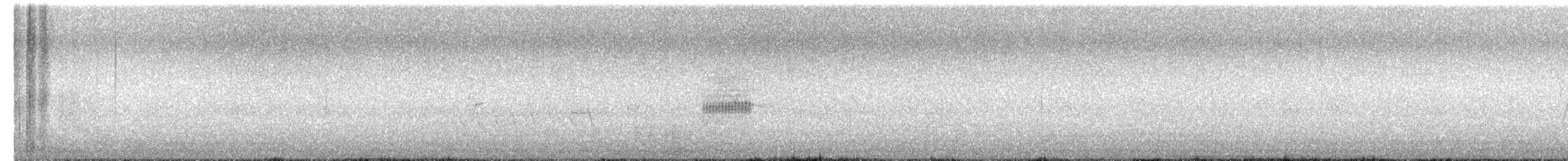 Prinia gracile - ML652154332