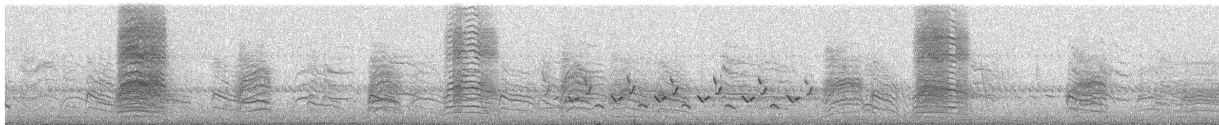 ネコマネドリ - ML652154374