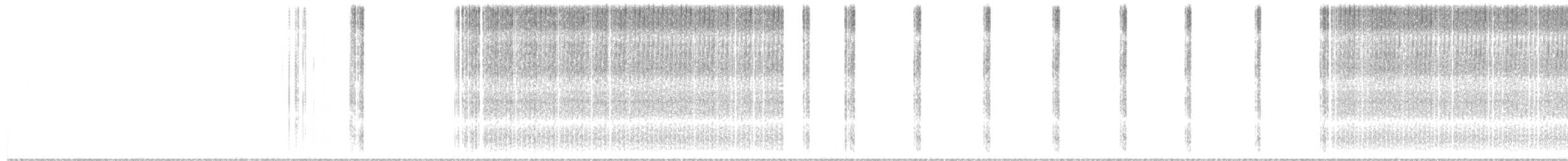 Short-winged Meadow Katydid - ML652155255