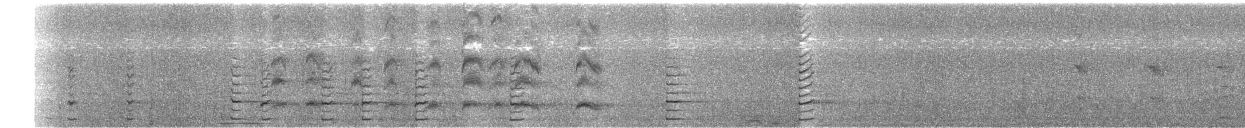 Dusky Moorhen - ML652157689