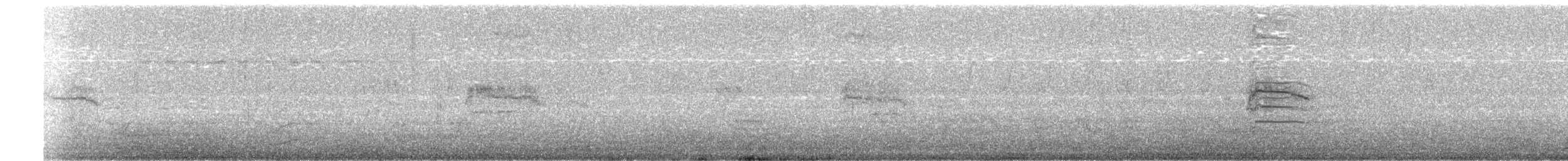 Red-tailed Black-Cockatoo - ML652158438