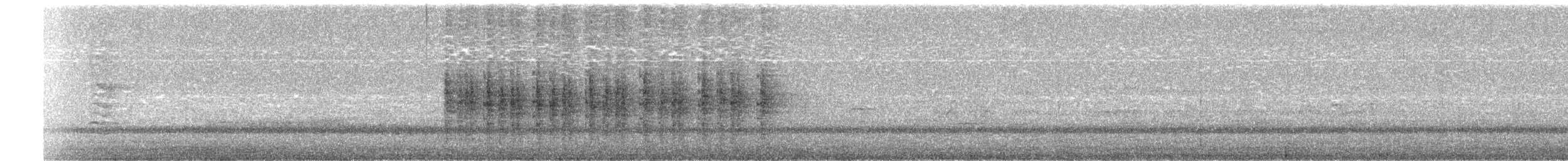 Willie-wagtail - ML652159093