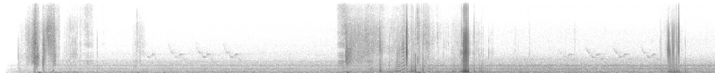 Troglodyte de Caroline - ML652165047